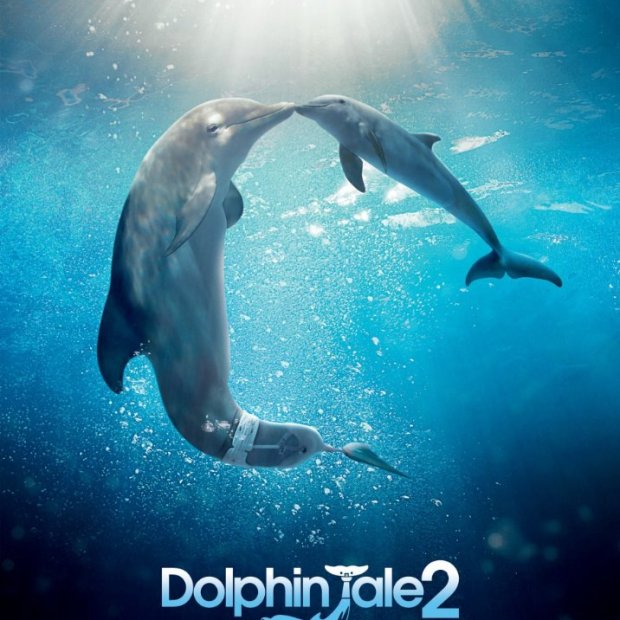 Dolphin Tale 2 Review